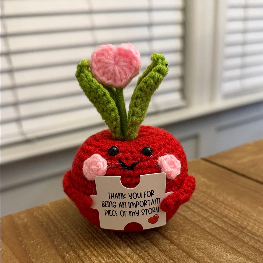 Handcrafted Red and Green Crochet Decor